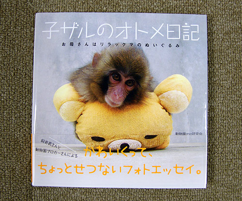 動植物園見どころ情報 市川市公式webサイト 動植物園見どころ情報 市川市公式webサイト