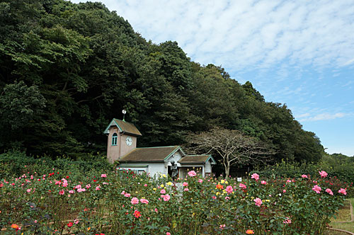バラ園の画像 バラ園の画像