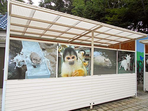 動植物園見どころ情報 市川市公式webサイト