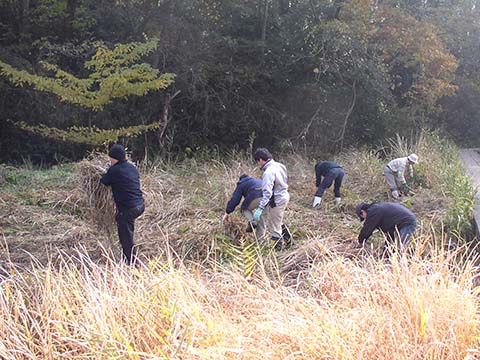 長田谷津環境整備の写真