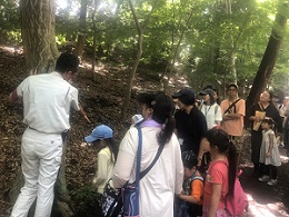 大町公園散策の様子