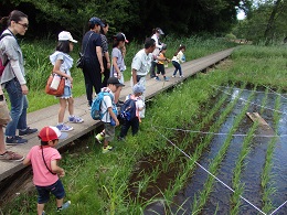 大町公園散策の様子
