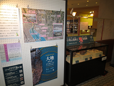 考古博物館サテライト展示 小塚山遺跡と鬼高遺跡