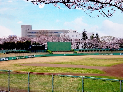 写真：国府台球場