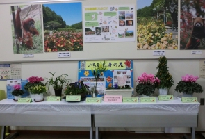 「市川産花の展示会」の様子