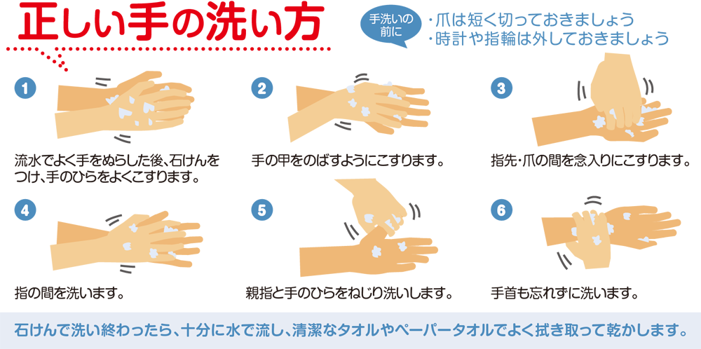 正しい手の洗い方 手洗いの前に ・爪は短く切っておきましょう ・時計や指輪は外しておきましょう 1流水でよく手をぬらした後、せっけんをつけ、手のひらをよくこすります。 2手の甲をのばすようにこすります。 3指先・爪の間を念入りにこすります。 4指の間を洗います。 5親指と手のひらをねじり洗いします。 6手首も忘れずに洗います。 せっけんで洗い終わったら、十分に水で流し、清潔なタオルやペーパータオルでよく拭き取って乾かします。