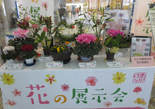 「花の展示会」のようす