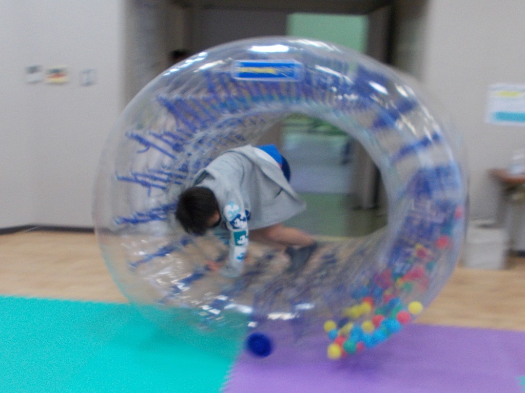 写真:サイバーホイール