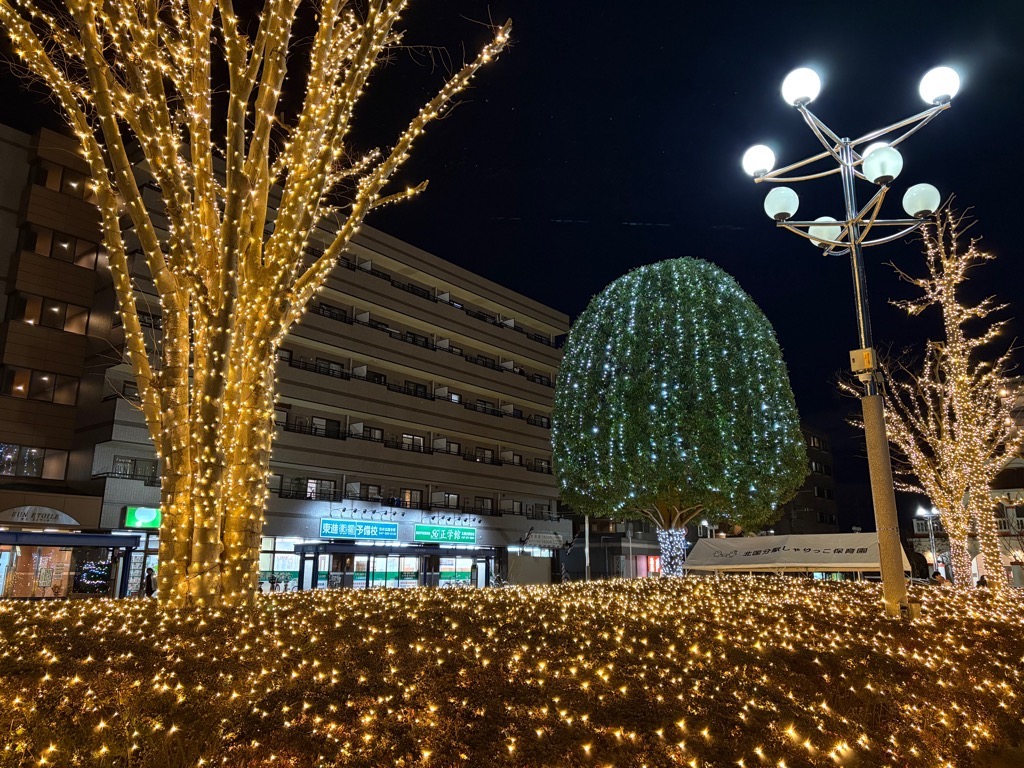 写真:北国分駅