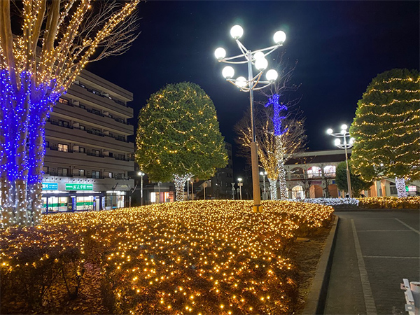 写真：北国分駅のイルミネーション1