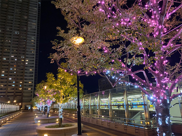 写真：市川駅のイルミネーション2