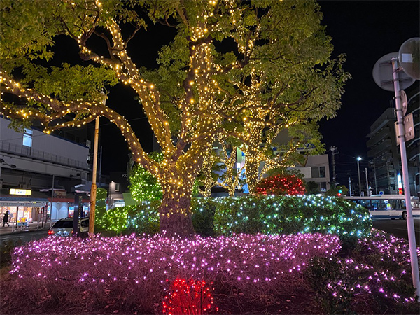 写真：南行徳駅のイルミネーション2