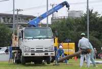 写真：電柱を撤去する様子
