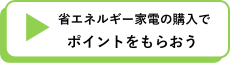 省エネルギー家電の購入でポイントをもらおう