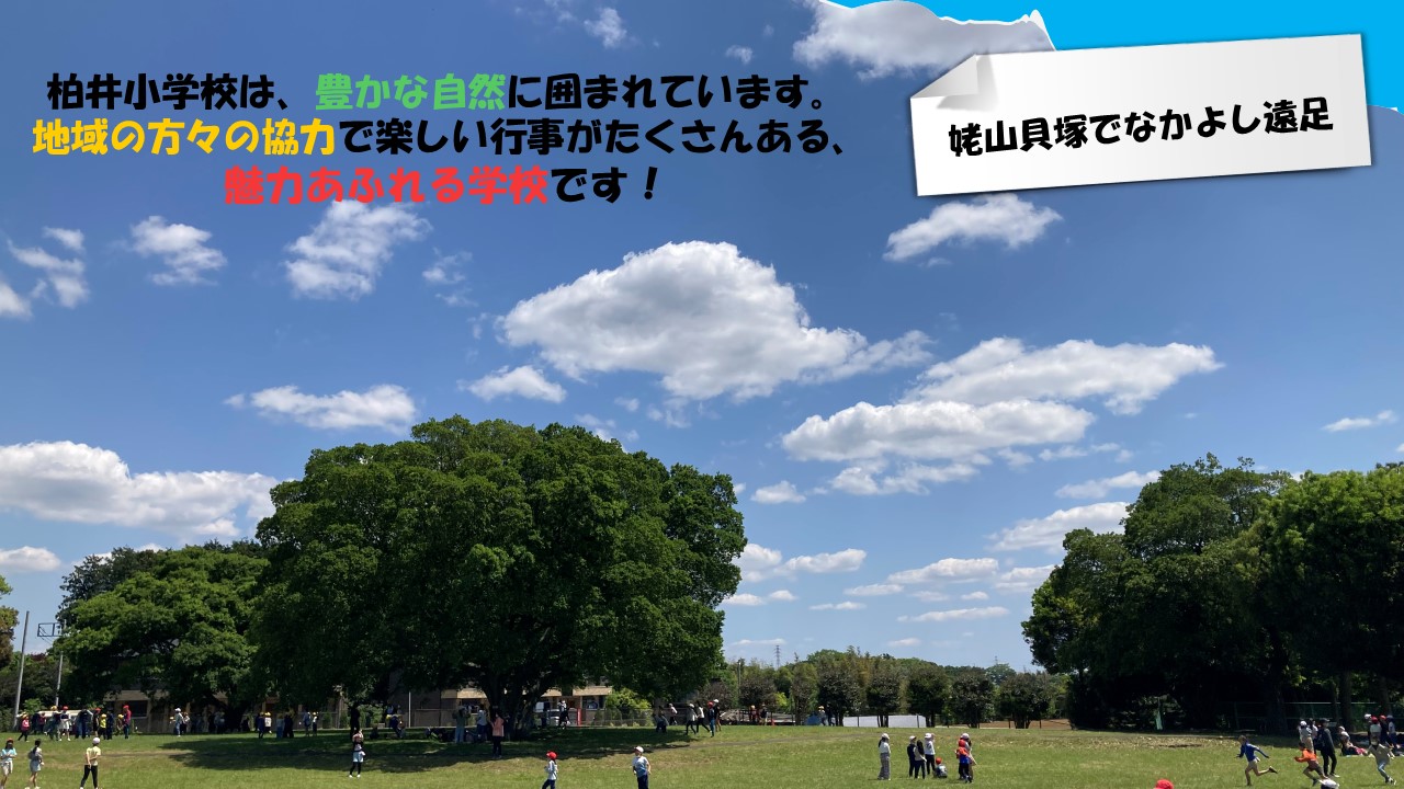 写真：柏井小学校は豊かな自然にかこまれています姥山貝塚でなかよし遠足