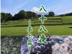 八十八夜~茶と霜~