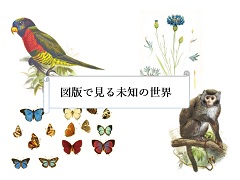 ポスター:図版で見る未知の世界