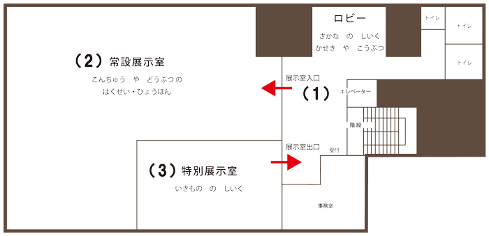 フロア全体のマップ