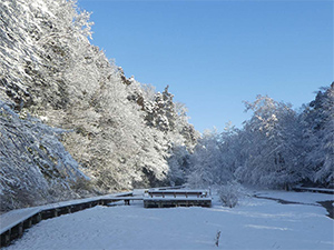 雪が積もった時の景観写真