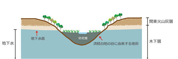 長田谷津の地層と地下水を表した図