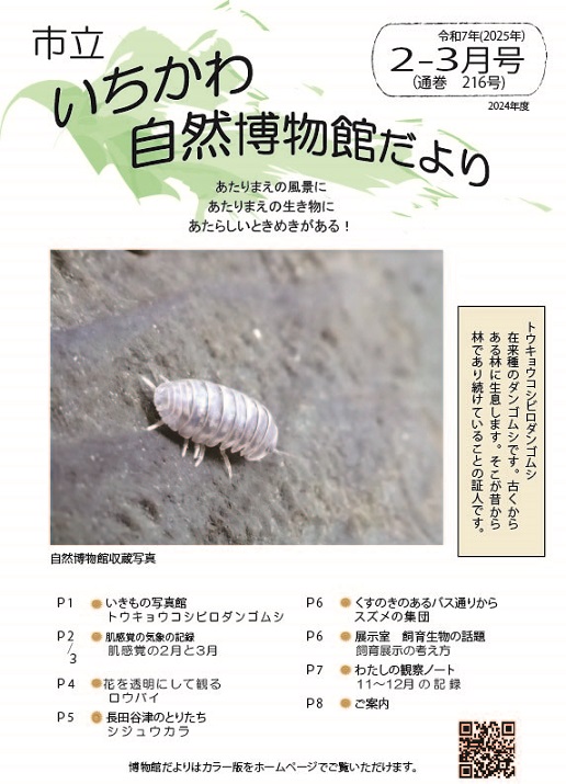 自然博物館だより214号