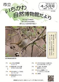 自然博物館だより217号