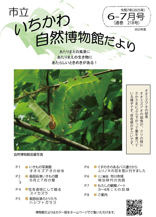 自然博物館だより218号