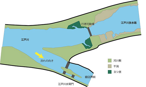 行徳可動堰と江戸川水閘門の位置図