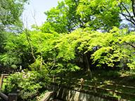 5月の市内写真1