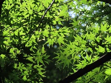 9月の市内写真1
