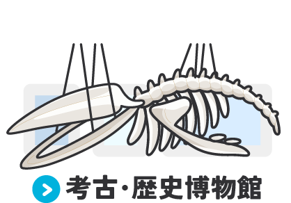 画像リンク:考古・歴史博物館