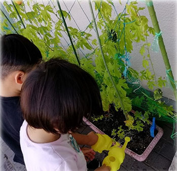 写真:2人の子どもが植木に水をあげている
