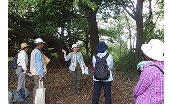 写真：温暖化防止のための森の役割勉強会の様子