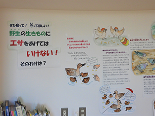 エサをあげないで展示1