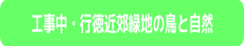 工事中・行徳近郊緑地の鳥と自然のリンクボタン