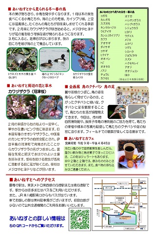 あいねすと通信2024年冬号2ページ　あいねすとから見られる冬～春の鳥　あいねすと周辺の花と草木　企画展鳥のクチバシ鳥の足　あいねすとへのアクセス