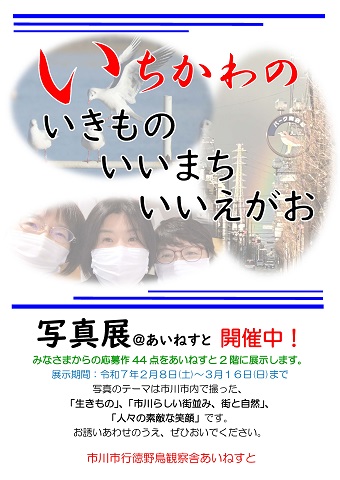 いちかわの　いきもの　いいまち　いいえがお　写真展＠あいねすと　ポスター　クリックするとPDFが開きます。