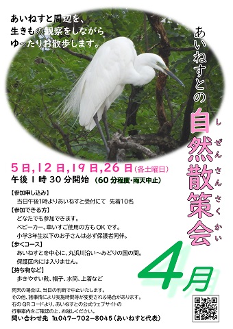 あいねすとの自然散策会4月のポスター。クリックするとPDFが開きます