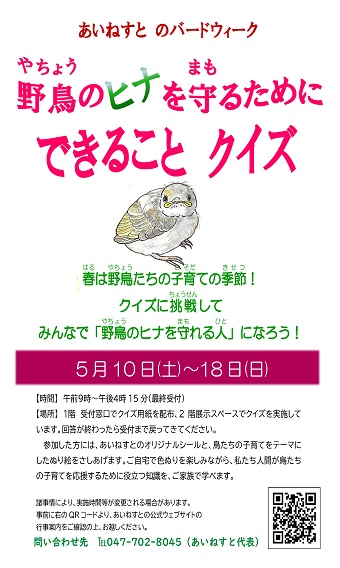 あいねすとのバードウィーク野鳥のヒナを守るためにできることクイズ　ポスタークリックするとPDFファイルが開きます。