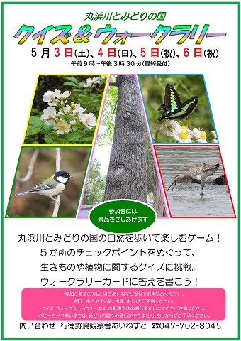 丸浜川とみどりの国クイズ＆ウォークラリーポスター　クリックするとPDFファイルが開きます。