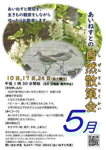 あいねすとの自然観察会５月のポスター。クリックするとPDFファイルが開きます。