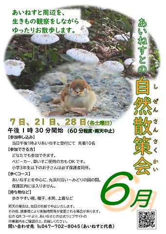  あいねすとの自然散策会6月のポスター　クリックするとPDFファイルが開きます。
