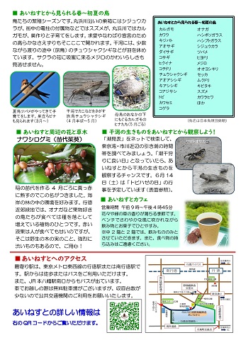 あいねすと通信春号No.14 ページ2 あいねすとからみられる春から初夏の鳥 あいねすと周辺の花と草木 ほか