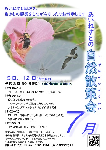 7月のあいねすとの自然散策会のポスター　写真をクリックするとPDFファイルが開きます。
