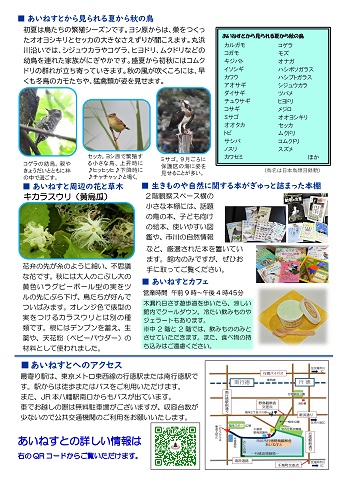 あいねすと通信2025年夏号　ページ2　あいねすとから見られる夏の秋の鳥　あいねすと主変の花と草木　生きものや自然に関する本がぎゅっと詰まった本棚