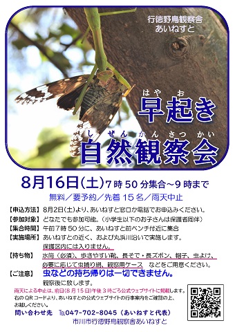 早起き自然観察会ポスター　クリックするとPDFファイルが開きます。要申し込み8月2日土曜日午前9時より電話もしくは来館で。