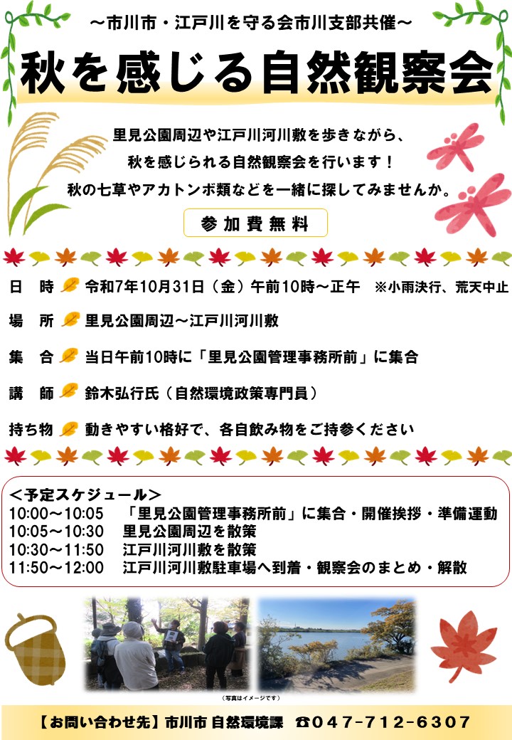 秋を感じる自然観察会