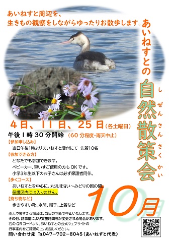 あいねすとの自然散策会10月のポスター　クリックするとＰＤＦファイルが開きます。