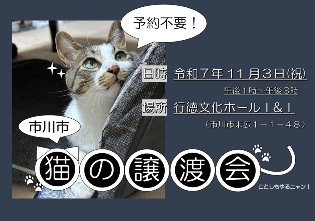 令和７年度　猫譲渡会