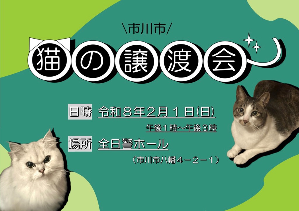 令和８年度２月　猫譲渡会